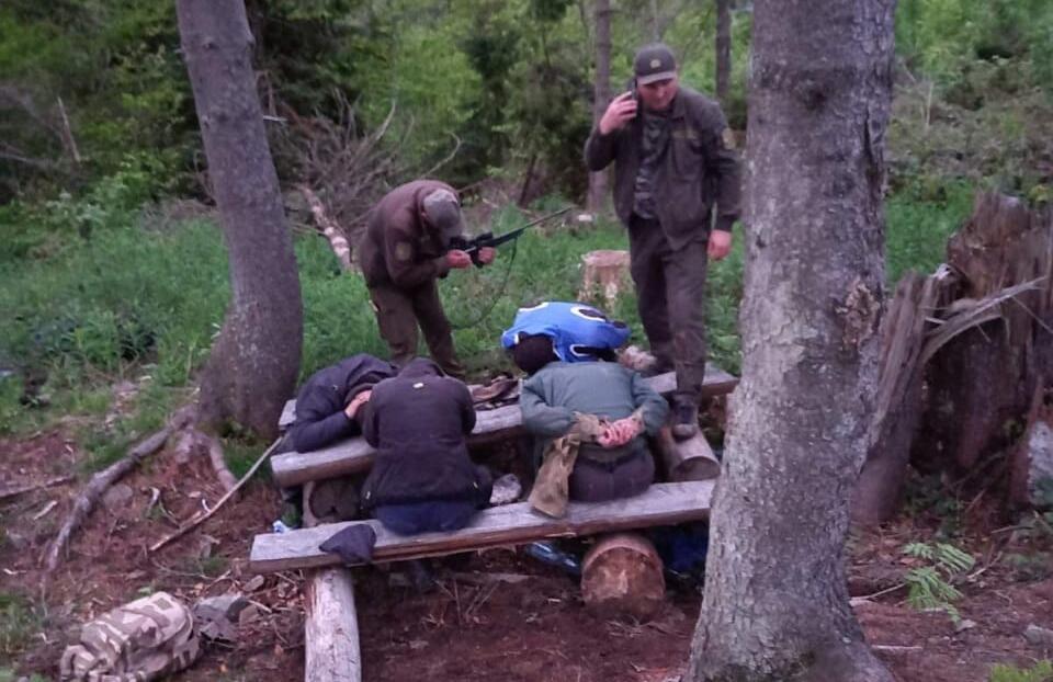 У Вигодському лісгоспі єгері упіймали чотирьох мисливців із нелегальною зброєю (фото) 1 284090911 1700403680311943 3486670356428751577 n 1