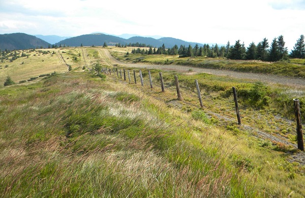 переправлення за кордон на івано-франківщині сбу