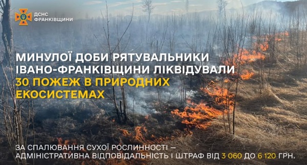 На Івано-Франківщині за добу рятувальники загасили 30 пожеж у природних екосистемах