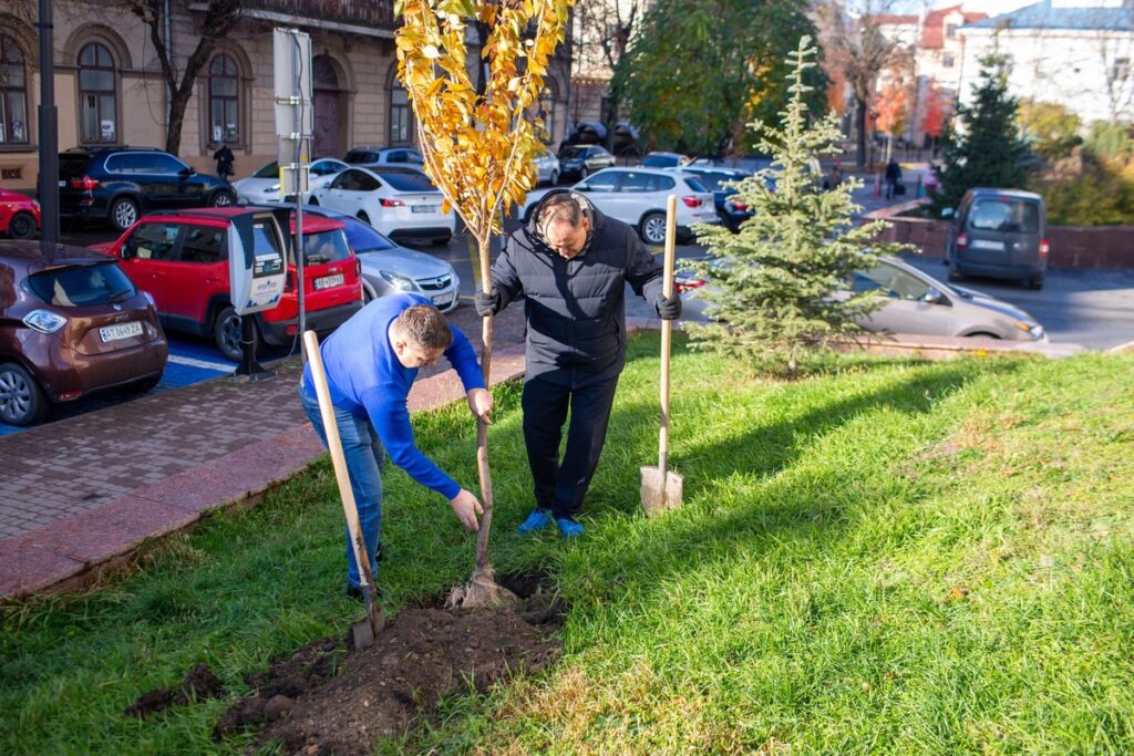 У центрі Івано-Франківська висадили сакури як символ єдності та відродження
