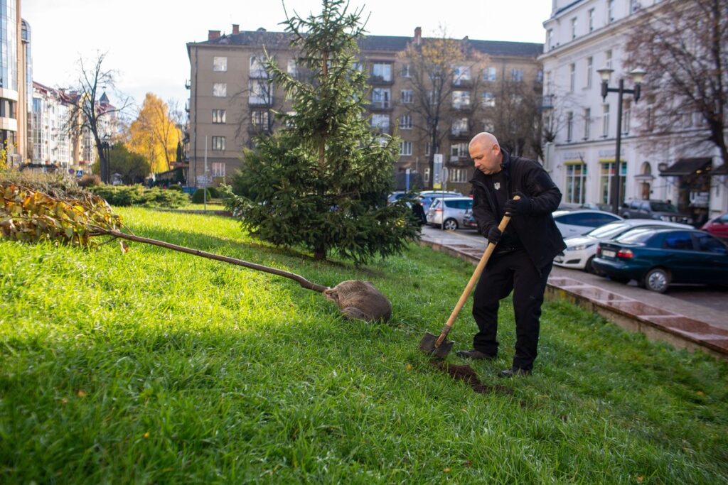 У центрі Івано-Франківська висадили сакури як символ єдності та відродження