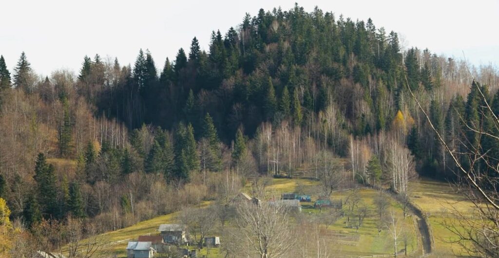 Як живуть люди у найвіддаленішому присілку Яремче