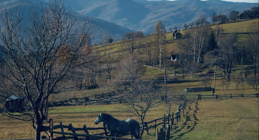 Як живуть люди у найвіддаленішому присілку Яремче