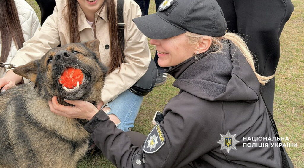Прикарпатські кінологи показали ліцеїстам, як працюють службові собаки