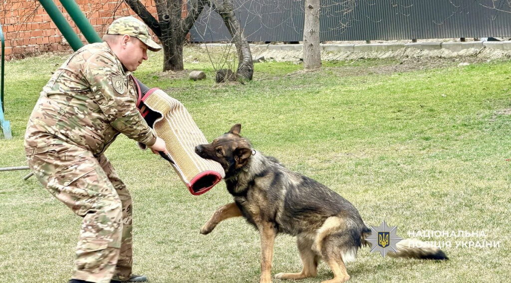 Прикарпатські кінологи показали ліцеїстам, як працюють службові собаки