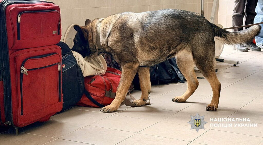 Прикарпатські кінологи показали ліцеїстам, як працюють службові собаки