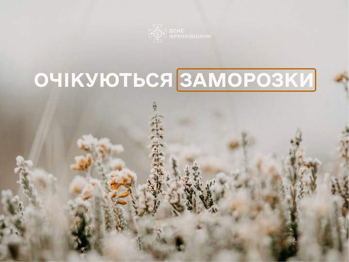 На Прикарпатті 13 та 14 квітня прогнозують сильні заморозки