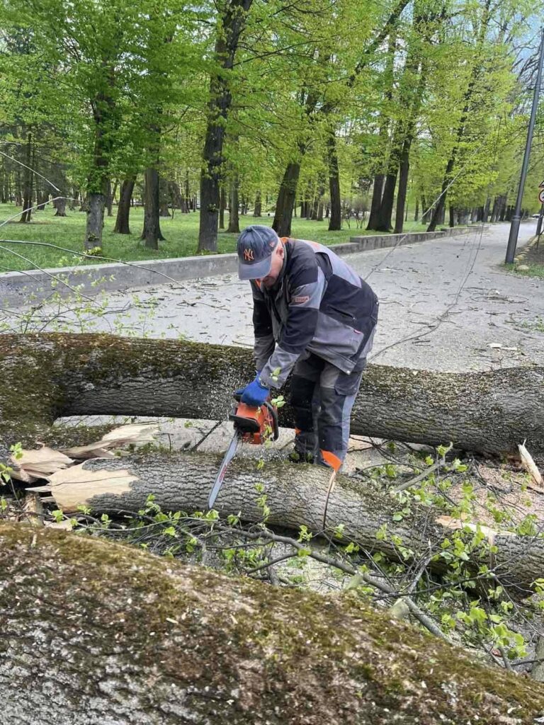В Івано-Франківську долають наслідки негоди: вітер повалив 34 дерева та пошкодив дахи будинків і ліцею