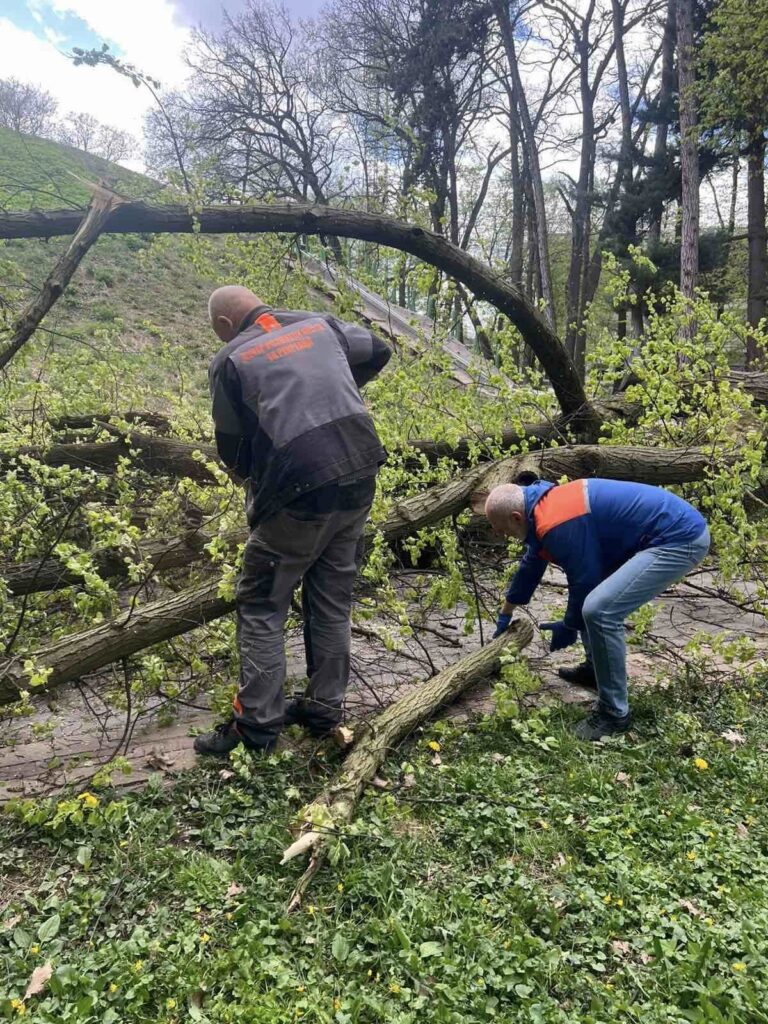 В Івано-Франківську долають наслідки негоди: вітер повалив 34 дерева та пошкодив дахи будинків і ліцею