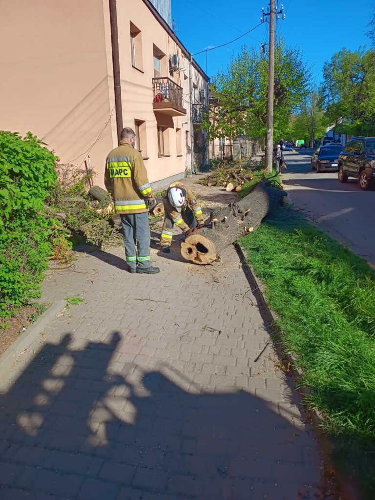 В Івано-Франківську долають наслідки негоди: вітер повалив 34 дерева та пошкодив дахи будинків і ліцею