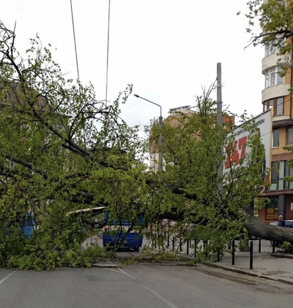В Івано-Франківську долають наслідки негоди: вітер повалив 34 дерева та пошкодив дахи будинків і ліцею