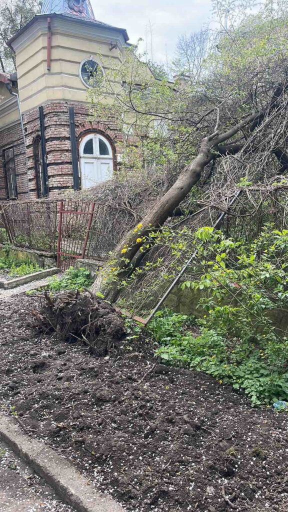В Івано-Франківську долають наслідки негоди: вітер повалив 34 дерева та пошкодив дахи будинків і ліцею