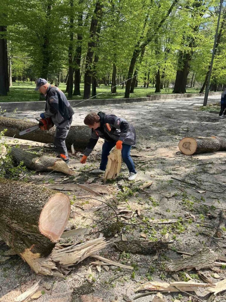 В Івано-Франківську долають наслідки негоди: вітер повалив 34 дерева та пошкодив дахи будинків і ліцею