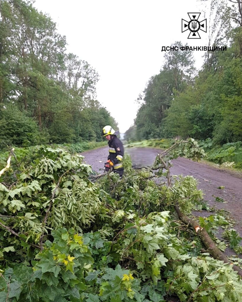 На Івано-Франківщині вчорашня негода повалила дерева на дороги: рятувальники сім разів виїжджали на виклики