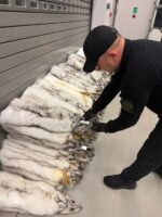 На кордоні з Польщею виявили хутро песця на 400 тис грн