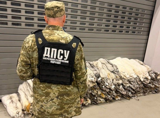 На кордоні з Польщею вилучили хутро песця для Франківська